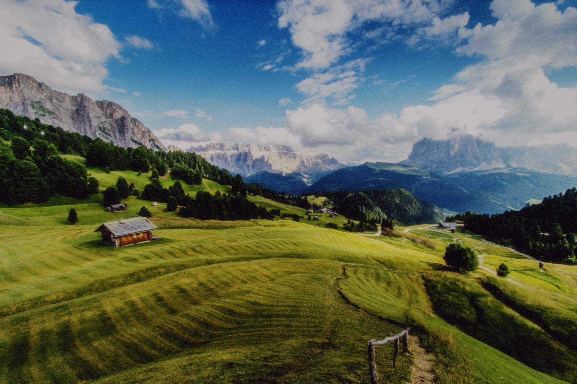 Authentic Film Colors - Daydream camera app feature showcase